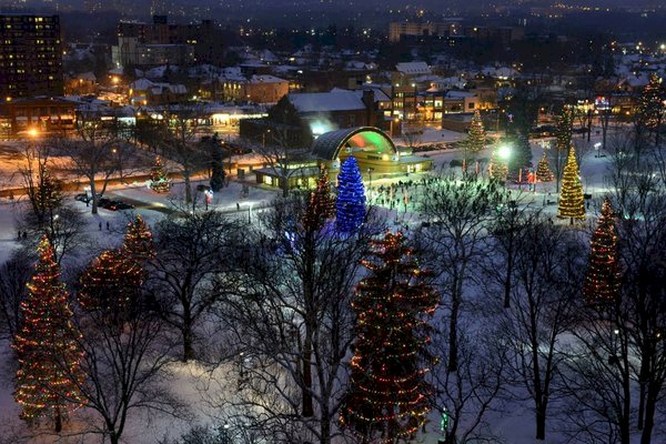 Make some memories this holiday season by lighting things up in Victoria Park!